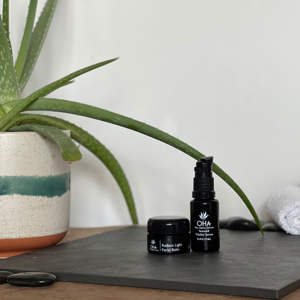 Pump bottle of Seaweed Vitality Serum and jar of Radiant Light Facial Balm sitting on table next to aloe plant.