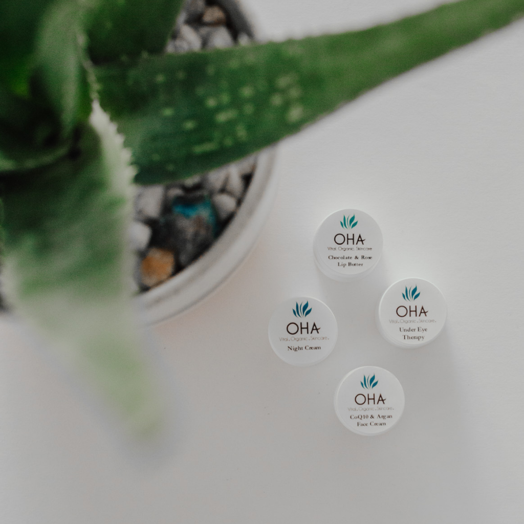 Free organic skincare product sample containers with aloe vera plant